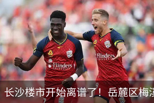 长沙楼市开始离谱了！岳麓区梅溪湖板块从3.2万变成1.4万