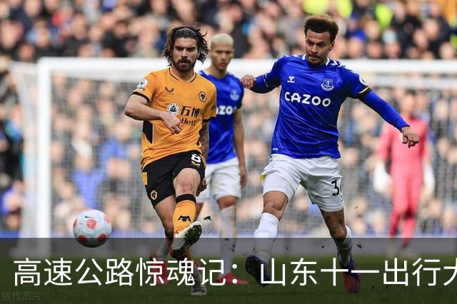 高速公路惊魂记：山东十一出行大作战！